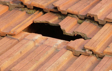 roof repair East Nevay, Angus